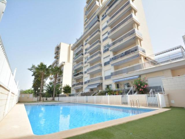 3 Dormitorio Apartamentos Guardamar Del Segura Spanien 94960985