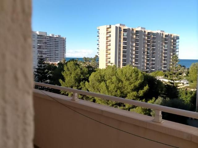 3 Dormitorio Apartamentos Gandía Valencia 98345523
