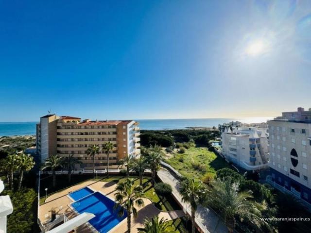 3 Dormitorio Apartamentos La Mata Alicante 98914125