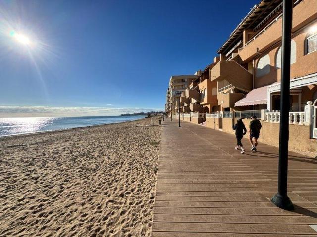 3 Dormitorio Apartamentos La Mata Spanien LS100420754