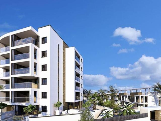 3 Dormitorio Apartamentos Pilar De La Horadada Costa Blanca 101513976