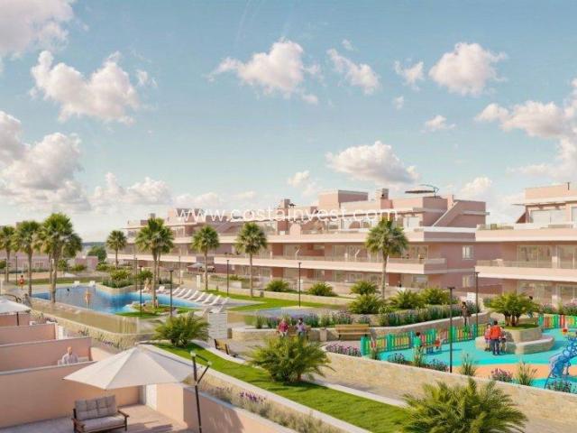 3 Dormitorio Apartamentos Pilar De La Horadada Costa Blanca 101263247
