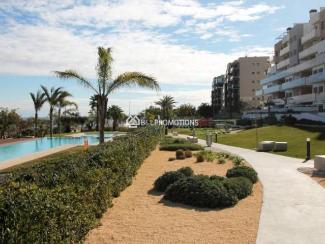 3 Dormitorio Apartamentos Pilar De La Horadada Costa Blanca South LS99036797