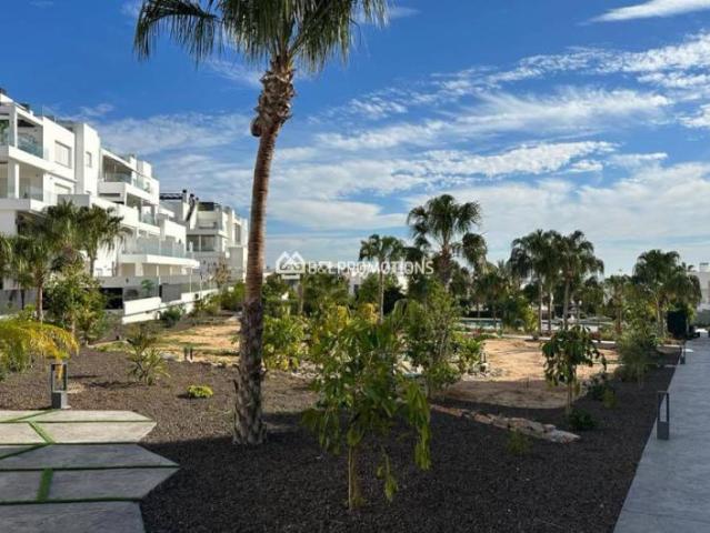 3 Dormitorio Apartamentos Torrevieja Costa Blanca South LS84634664