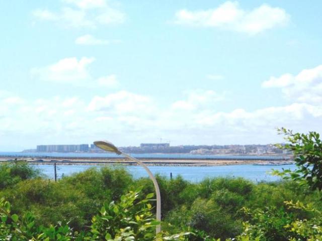 3 Dormitorio Apartamentos Torrevieja Alicante 98339651