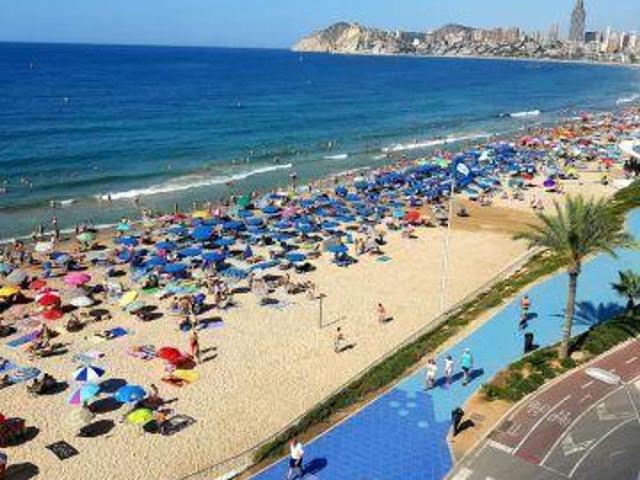 3 Dormitorio Apartamentos Valencia Valencia LS98285582