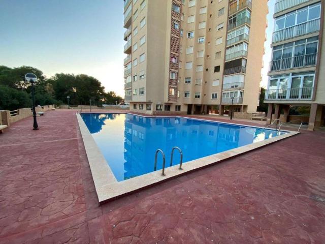 3 Dormitorio Apartamentos Valencia Valencia 98572928
