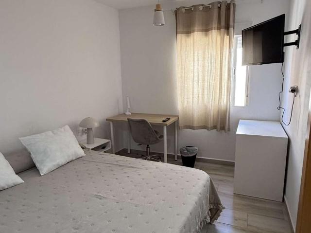 3 Dormitorio Shared Living/Roommate Murcia Murcia 101824077