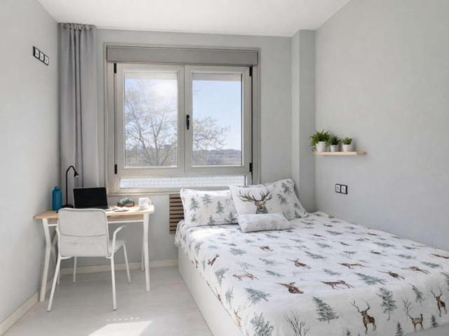 3 Dormitorio Shared Living/Roommate Madrid Madrid 100946579