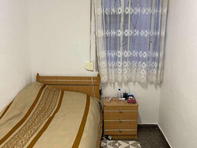 3 Dormitorio Shared Living/Roommate Alicante Alicante 101818819