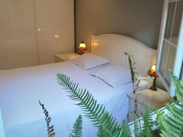 3 Dormitorio Shared Living/Roommate Barcelona Barcelona LS101815373