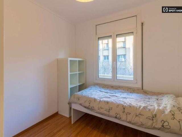 3 Dormitorio Shared Living/Roommate Barcelona Barcelona LS101817666