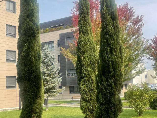 3 Dormitorio Shared Living/Roommate Bilbao Bilbao 101638288