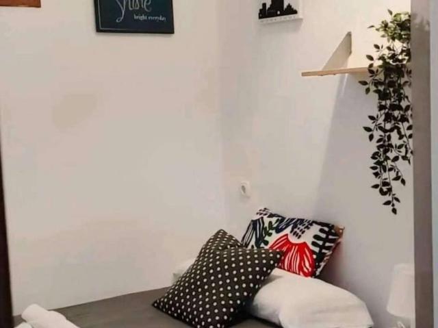 3 Dormitorio Shared Living/Roommate Cadiz Cadiz 99681891