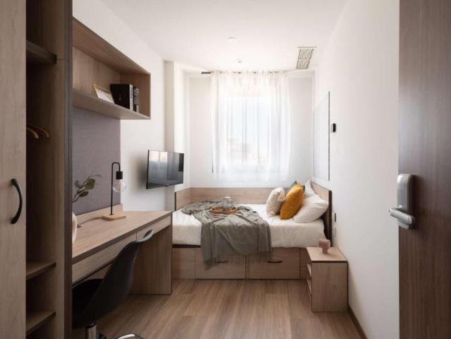 3 Dormitorio Shared Living/Roommate Granada Granada 92747275