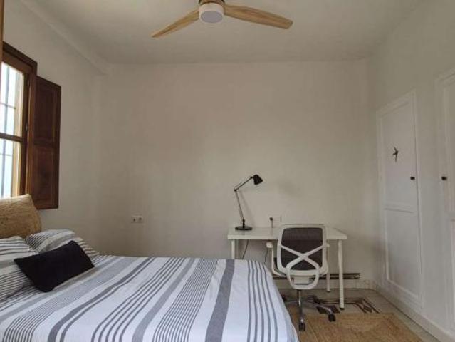 3 Dormitorio Shared Living/Roommate Granada Granada LS98753311