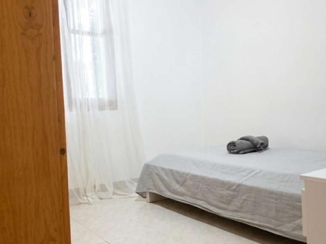 3 Dormitorio Shared Living/Roommate Palma De Mallorca Palma De Mallorca 100233224