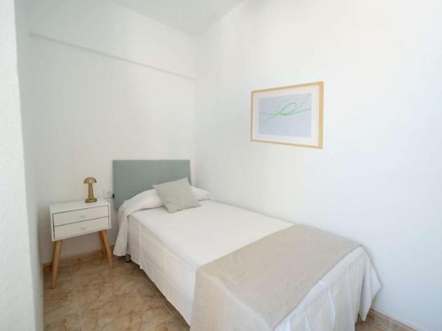 3 Dormitorio Shared Living/Roommate Valencia Valencia 101813292
