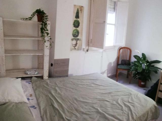 3 Dormitorio Shared Living/Roommate Valencia Valencia 64534867