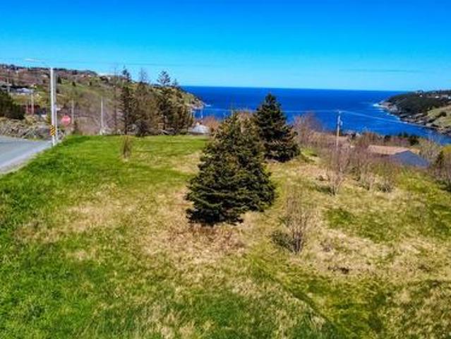 3 Evening'S Path, Torbay, NL, A1K 1J4 vacant land for sale | Listing ID 1298 | Royal LePage