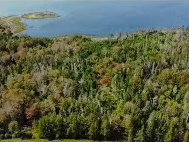 3 East Green Harbour Road, East Green Harbour, NS, B0T 1L0 v.