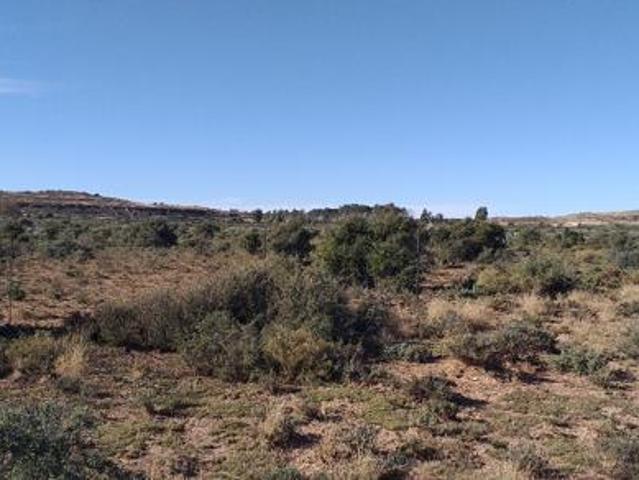 3 ha Land available in Loxton