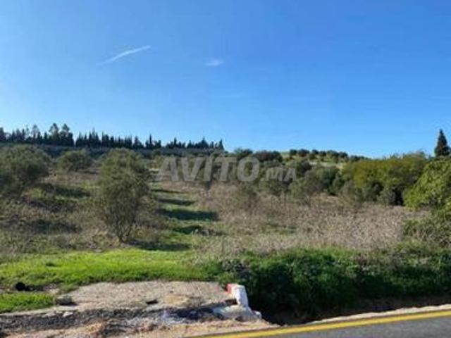 3 hectare et 3000 m2 a vendre route tetouan tanger
