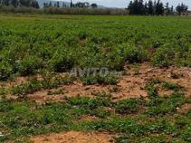 3 hectares et demi à vendre