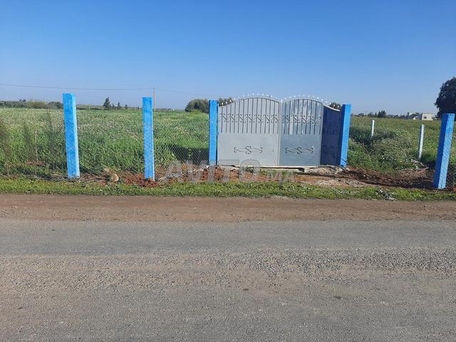 3 hectares et 2920 m carres