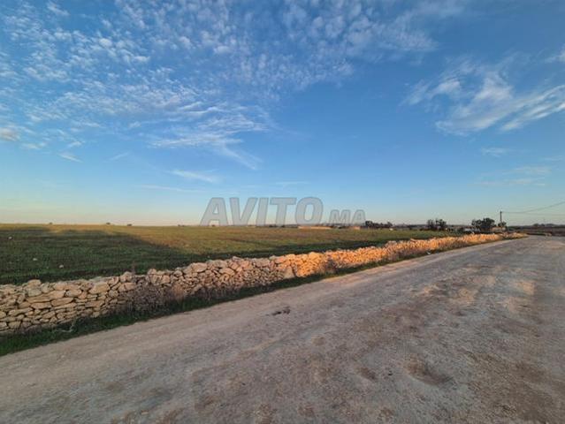 3 hectares 7000 mètres