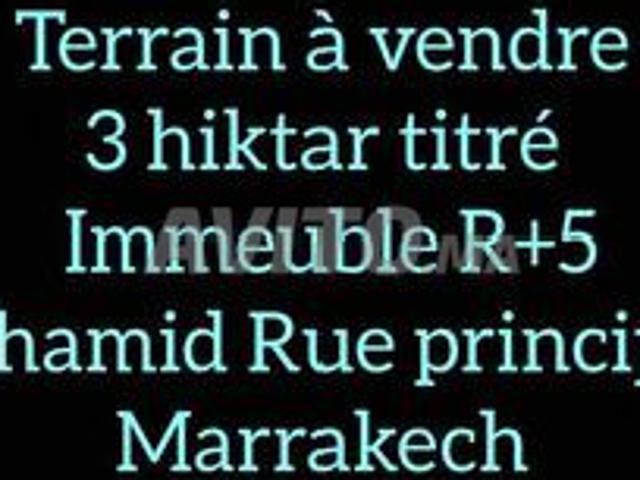 3 hiktar Terrain R plus 5 a mhamid Marrakech
