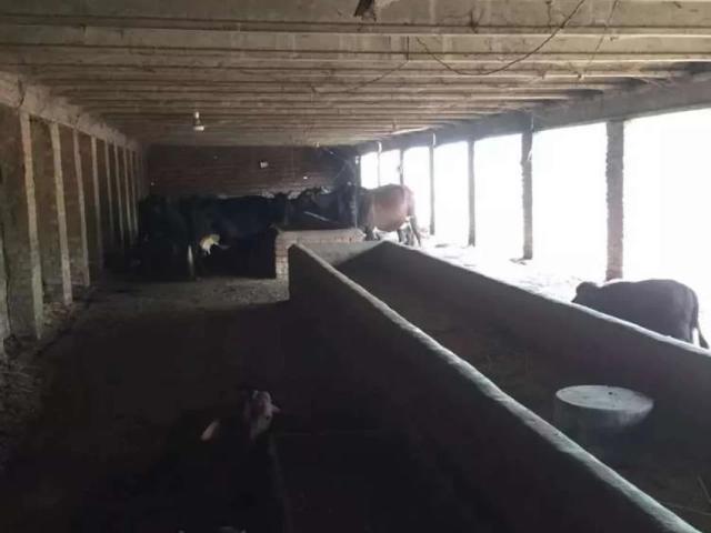 3 Kanal Dairy Form/Cattle Form available Near Bahria Town Lahore Zaitoon New Lahore City ID 23688