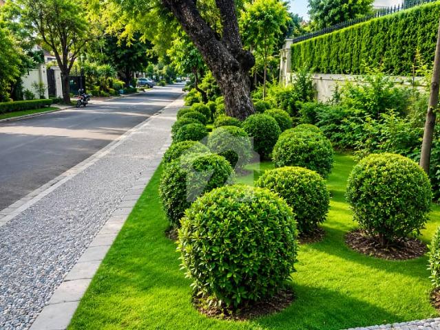 3 kanal investment opportunity in f 6