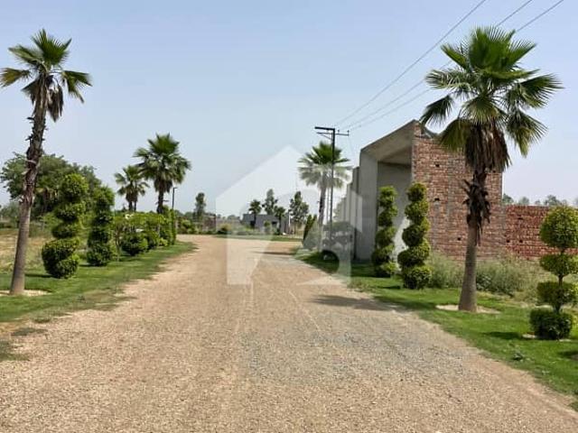 3 Kanal Primimum Living Land In Nazeer Farms