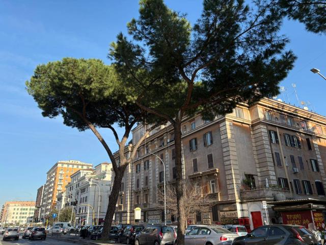 3 locali in vendita a Roma, Appio Latino