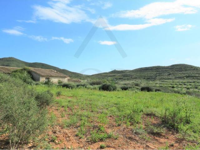 3 PARCELAS RUSTICAS CON VIVIENDA REGISTRADA EN PARAJE LOS MENDEZ – CARTAGENA