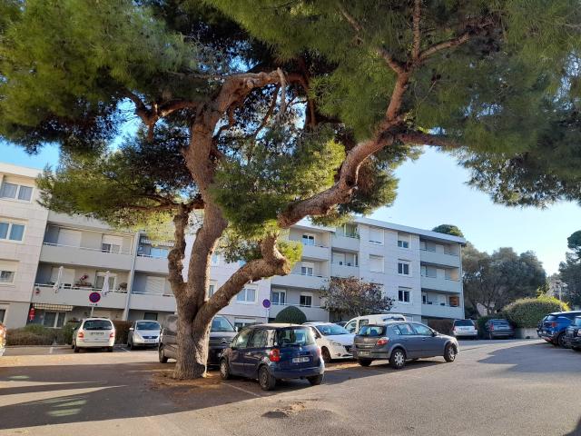 3 pièces · 54.91 m²