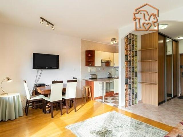 3 pokoje, pet friendly Lanciego 10D