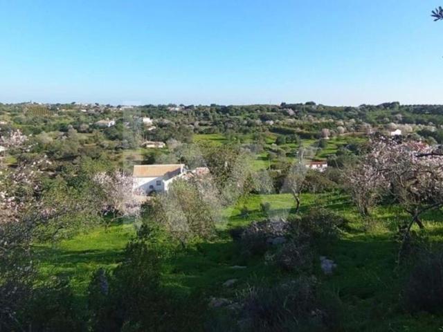 3 quarto, Tavira Algarve 79503153