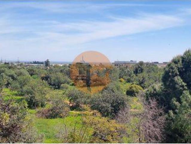 3 quarto, Tavira Faro 101569513