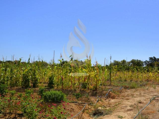 3 quarto, Tavira Tavira 88688637
