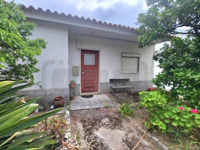 3 quarto, Tomar Tomar 102958497