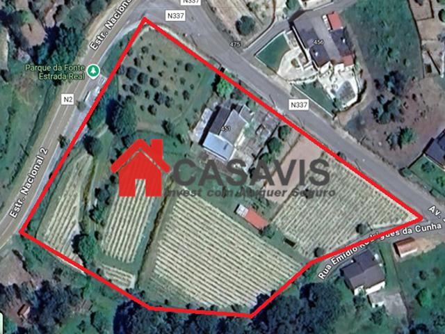 3 quarto, Tondela Viseu 102145851
