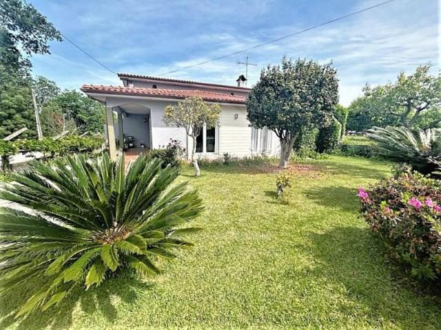 3 quarto, Viana do Castelo Viana do Castelo 98464770