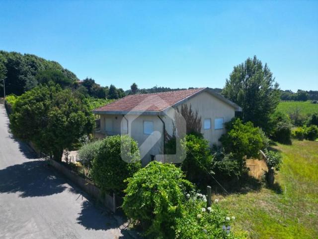 3 quarto, Vila Nova de Famalicão Vila Nova de Famalicão 104187448