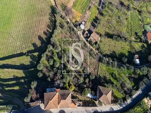 3 quarto, Viseu Tabuaço 103541049