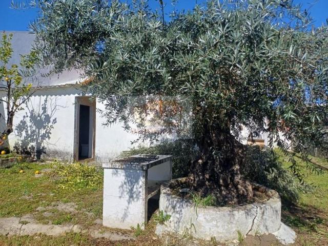 3 quarto, Alcácer do Sal Alcácer do Sal 97969665