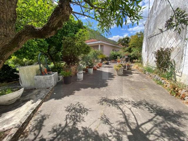 3 quarto, Alcanena Alcanena LS101645465