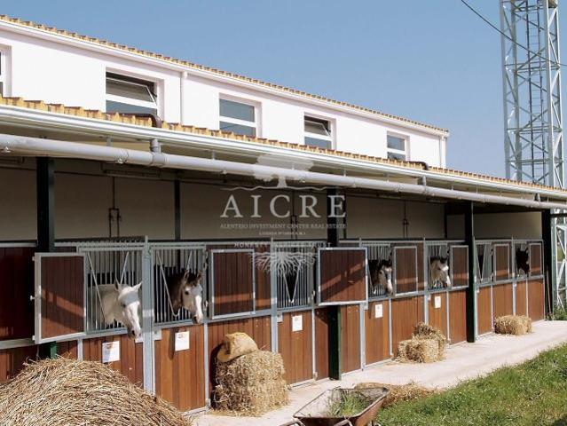 3 quarto, Aljustrel Beja 66631031