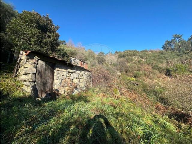 3 quarto, Arcos de Valdevez Arcos de Valdevez 102485460